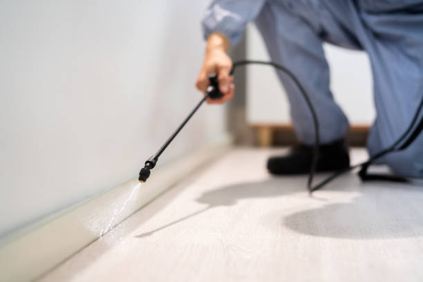 Licensed Pest Control service in Marion, KS - Show Me Pest Control