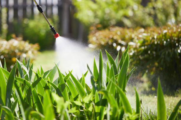 24/7 Emergency Mosquito Control experts in Marion, KS